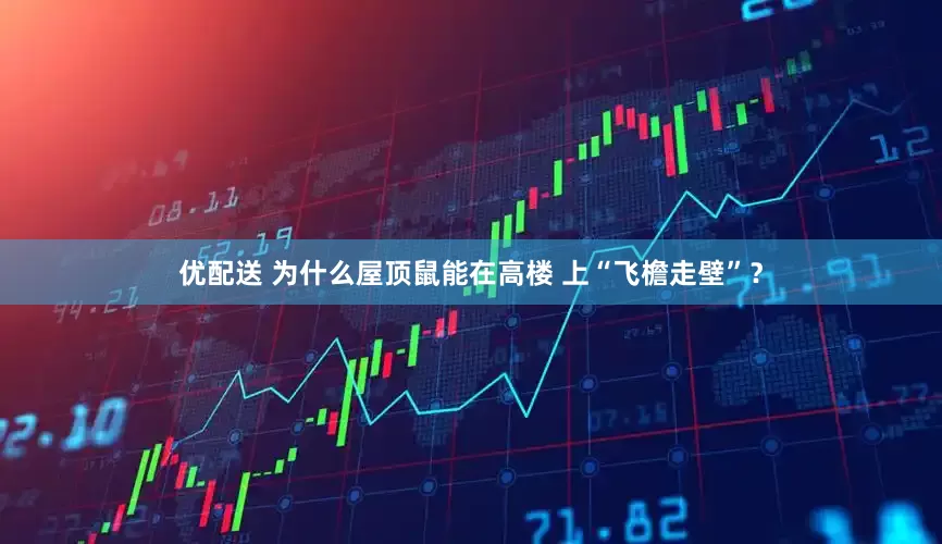 优配送 为什么屋顶鼠能在高楼 上“飞檐走壁”？