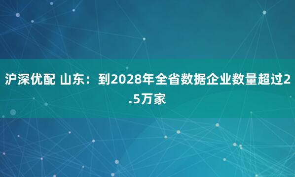 沪深优配 山东：到2028年全省数据企业数量超过2.5万家